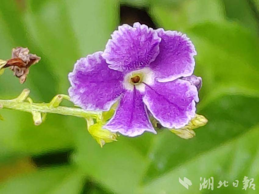 天易娱乐代理返点怎么算